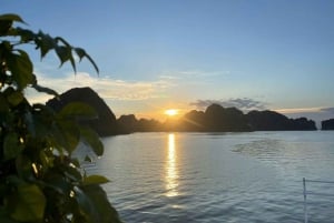Hanoi: Ha Long Bay päiväretki - ylellinen risteily ja buffet-lounas