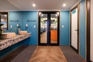 ハノイ発：ハロン湾日帰りクルーズ - アメジスト・ラグジュアリー・クルーズ