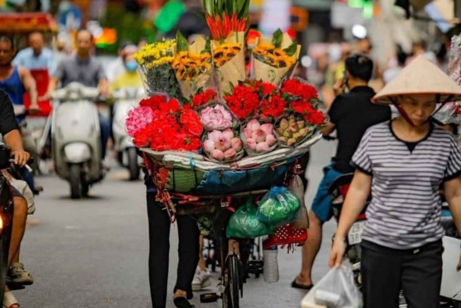 Hanoi: Privat byomvisning på halvdagstur