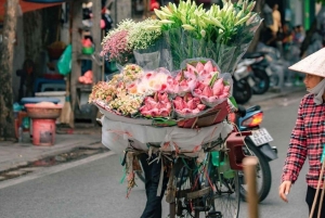 Hanoi: Privat byomvisning på halvdagstur