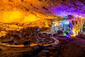 Hanoi : Croisière dans la baie d'Halong, grotte étonnante, île de Titov et kayak