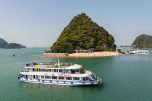 Hanói: viagem de 1 dia pela Baía de Halong com a Ilha Titop, caverna e caiaque