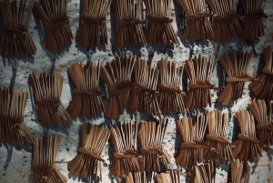 Hanoi: Handfächer-Dorf und Bambuslibellen-Dorf & Mittagessen