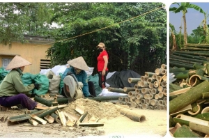 Hanoi: Handfächer-Dorf und Bambuslibellen-Dorf & Mittagessen