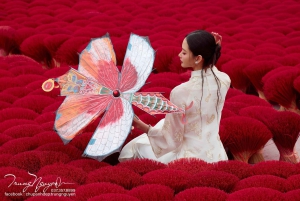 Hanoï : village des chapeaux et village de l'encens ou atelier de parfum