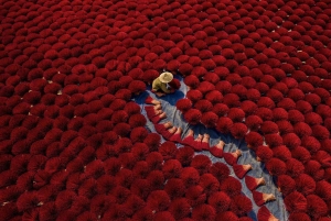 ハノイ：雄王の祠または香村＆帽子村をご案内します