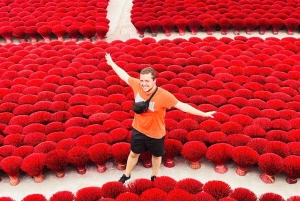Hanói: passeio pela aldeia do incenso, chapéus e laca/passeio por Ninh Binh