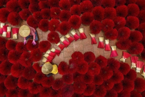 Hanoi: Wierookdorp, Ninh Binh, Tam Coc, & Hoa Lu Tour