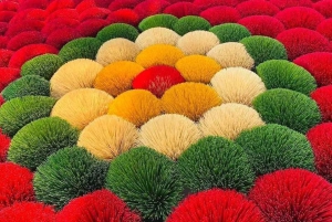 Hanoi: Wierookdorp, Ninh Binh, Tam Coc, & Hoa Lu Tour