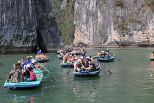 Hanoi: Islands & Caves Ha Long Cruise with Lunch & Kayaking