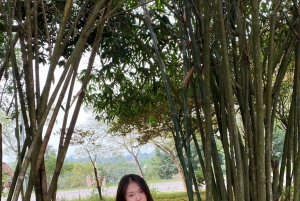 Hanoi: K9 Da Chong Historical Site Guided Tour