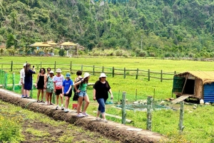 ハノイ：ランハ湾2D1Nラグジュアリー6★クルーズ – カヤック＆アオエッチ