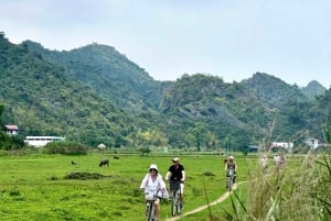 ハノイ：ランハ湾2D1Nラグジュアリー6★クルーズ – カヤック＆アオエッチ