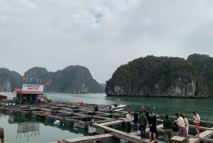 Hanoi: tour in barca nella baia di Lan Ha - pranzo, spiaggia, kayak