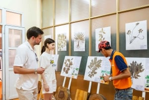 Hanoi: Zatoka Lan Ha i wyspa Cat Ba – wycieczka 1-dniowa – Tropical Cruise