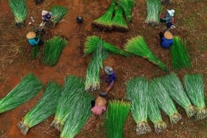 Hanoi: Villaggio del rattan e delle scarpe o Villaggio dell'incenso, Villaggio dei cappelli