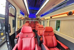 ハノイ：ニンビン行きのリムジンバスチケット（小グループバス）