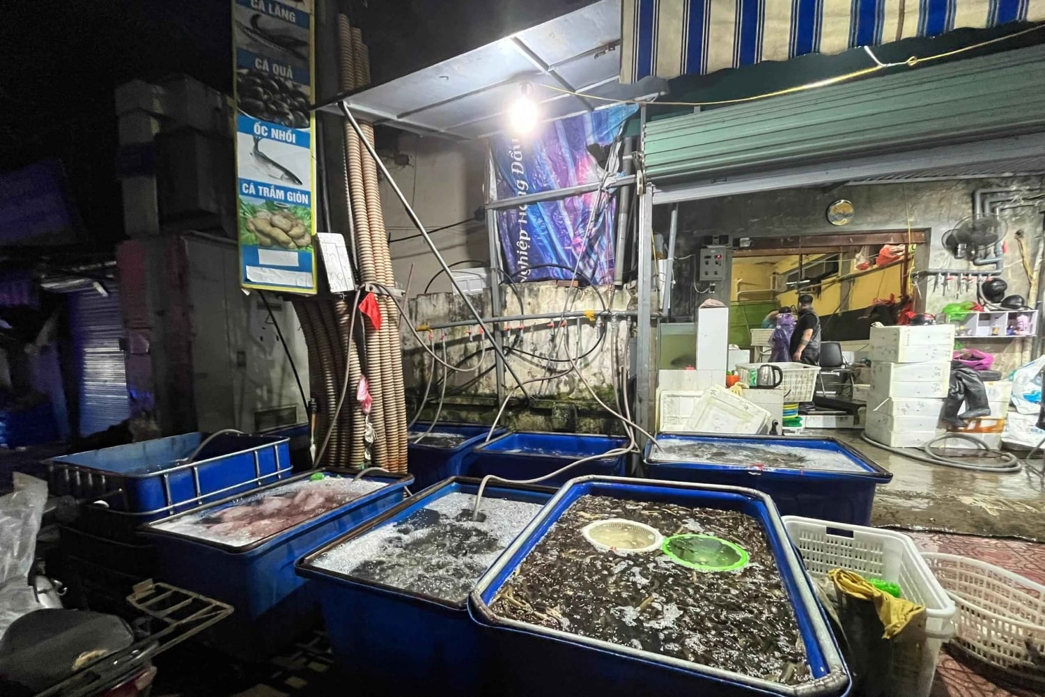 Hanoi: prywatna wycieczka nocna po targu Long Biên z lokalnym przewodnikiem