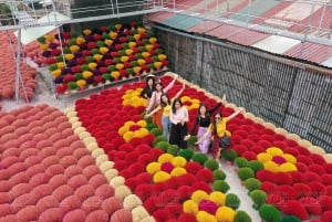 Hanoi: Long Dress Village or Incense Village, Hat Village