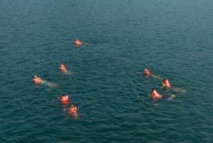 Hanoi: Crociera di lusso a vele di giada nella baia di Lan Ha con pranzo a buffet