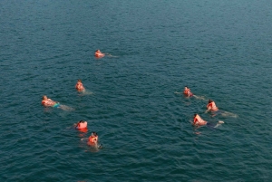 Hanoi: Crucero de lujo Lan Ha Bay Jade Sails con almuerzo buffet