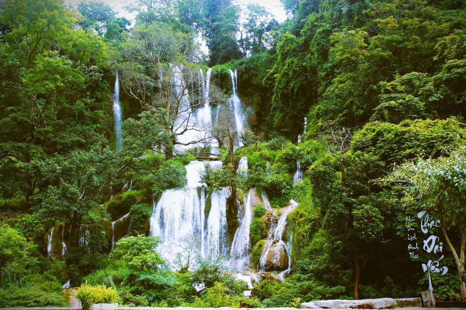 Hanoï : visite de 2 jours à Moc Chau et Mai Chau avec repas