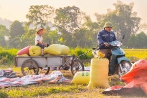 Hanoï : visite de 2 jours à Moc Chau et Mai Chau avec repas