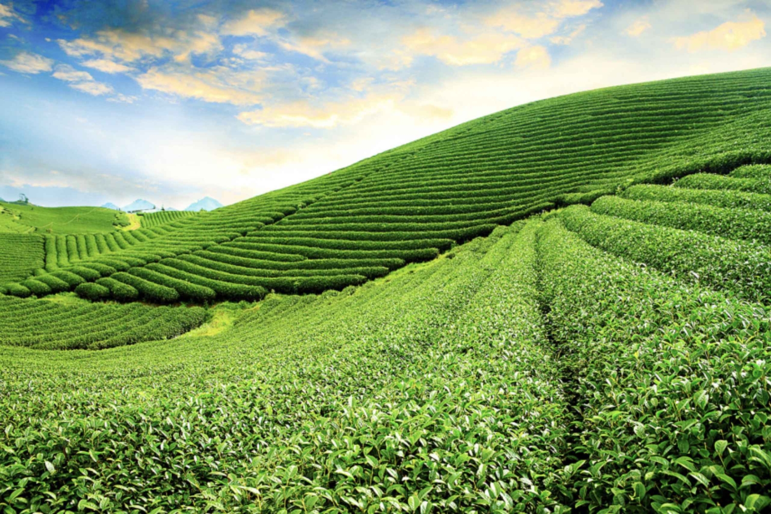 Hanoi: Moc Chau, Mai Chau ja Pu Luong – 3 päivän retki