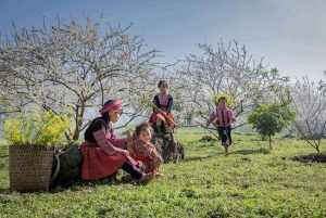 Hanoi: Moc Chau, Mai Chau ja Pu Luong – 3 päivän retki