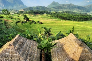 Hanoi: Moc Chau, Mai Chau ja Pu Luong – 3 päivän retki
