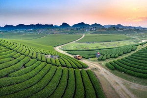 Hanoi: Moc Chau & Ta Xua 2-Day Tour with Hotel and Cloud