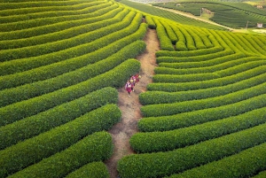 Hanoi: Moc Chau & Ta Xua 2-Day Tour with Hotel and Cloud