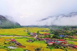 Hanoi: Mu Cang Chai og Ngoc Chien – 3-dages privat tur