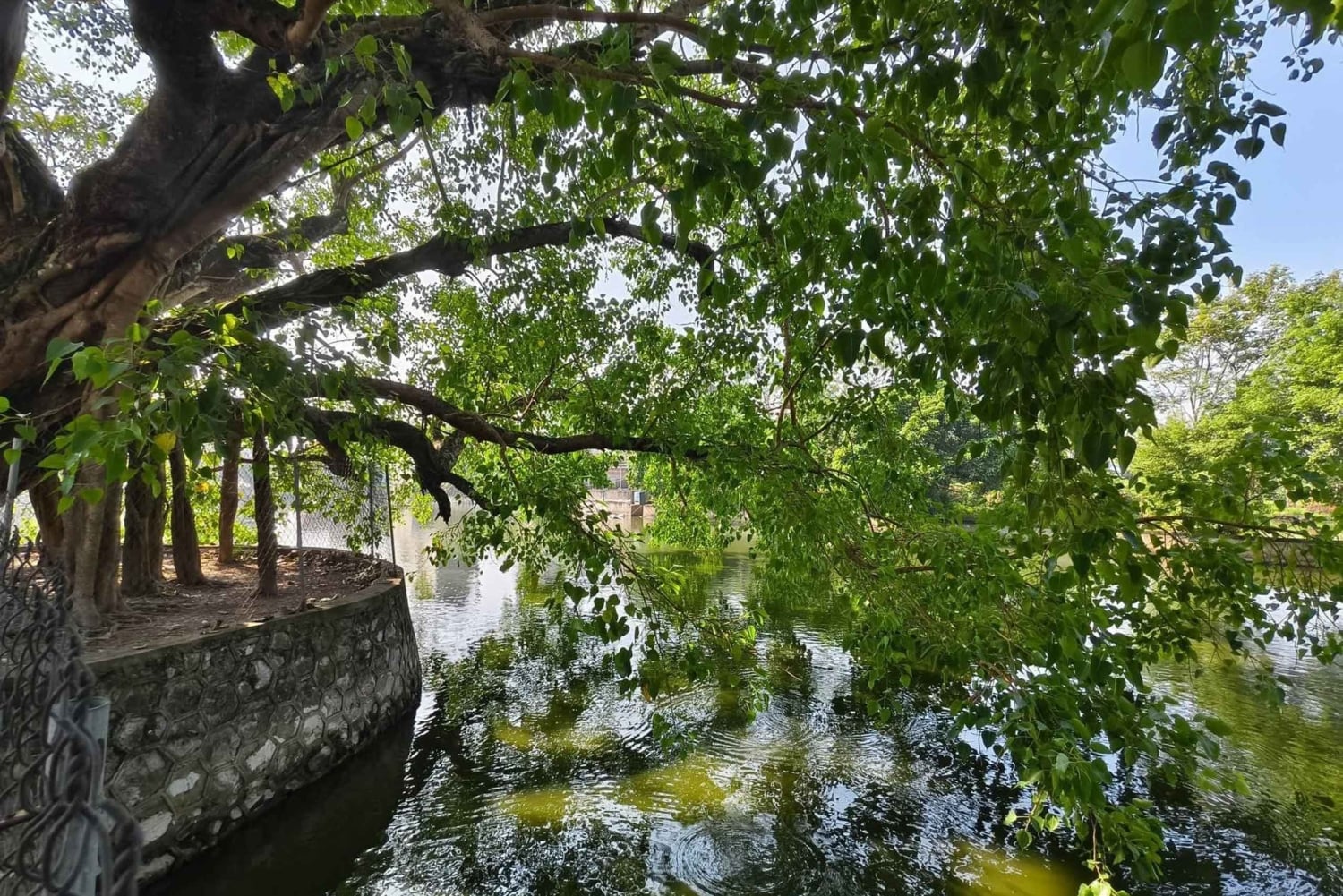 Hanoi: Dich Diepin kylä tai kalastelun, soija- ja suitsukekylä