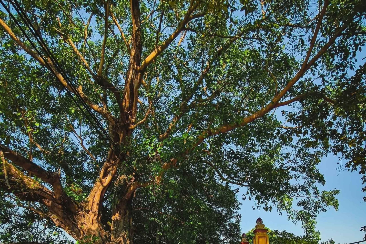 Hanoi: Dich Diepin kylä tai kalastelun, soija- ja suitsukekylä