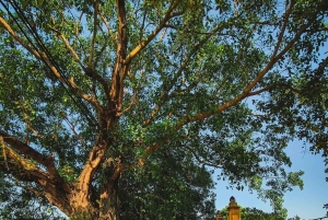 Hanoi: Dich Diepin kylä tai kalastelun, soija- ja suitsukekylä