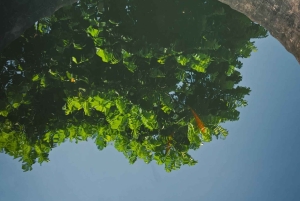 Hanoi: Dich Diepin kylä tai kalastelun, soija- ja suitsukekylä