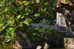 Hanoi: Dich Diepin kylä tai kalastelun, soija- ja suitsukekylä