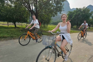 Hanoi: Ninh Binh 1 dag: Hoa Lu, Trang An/Tam Coc och Mua-grottan