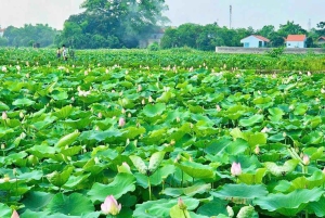 Hanoi: Ninh Binh 1 dag: Hoa Lu, Trang An/Tam Coc och Mua-grottan