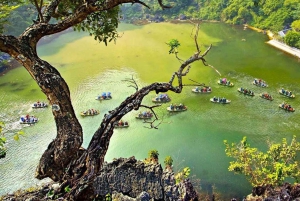 Hanoi: Ninh Binh 1 dag: Hoa Lu, Trang An/Tam Coc och Mua-grottan