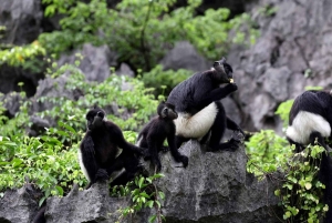 Hanoi: Ninh Binh Am Tien Cave or Trang An, Mua Cave & Hoa Lu