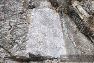 Hanoi: Ninh Binh Am Tien Cave or Trang An, Mua Cave & Hoa Lu