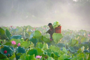 Hanoi Ninh Binhin karhujen turvapaikka tai Trang An, Mua-luola, Hoa Lu