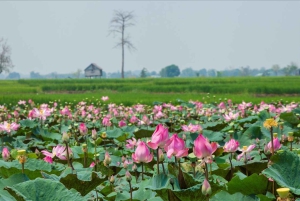 Hanoi Ninh Binhin karhujen turvapaikka tai Trang An, Mua-luola, Hoa Lu