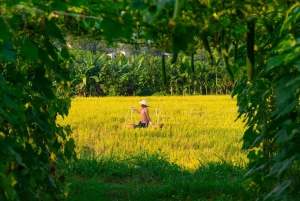 Hanoi Ninh Binhin karhujen turvapaikka tai Trang An, Mua-luola, Hoa Lu