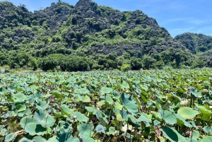 Hanoi Ninh Binhin karhujen turvapaikka tai Trang An, Mua-luola, Hoa Lu