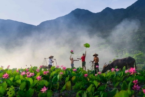 Hanoi Ninh Binhin karhujen turvapaikka tai Trang An, Mua-luola, Hoa Lu