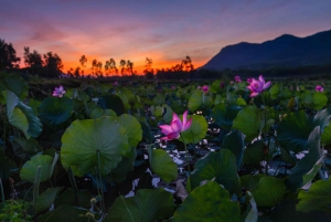 Hanoi Ninh Binhin karhujen turvapaikka tai Trang An, Mua-luola, Hoa Lu