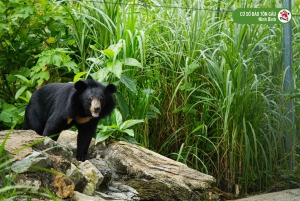 Hanoi Ninh Binhin karhujen turvapaikka tai Trang An, Mua-luola, Hoa Lu